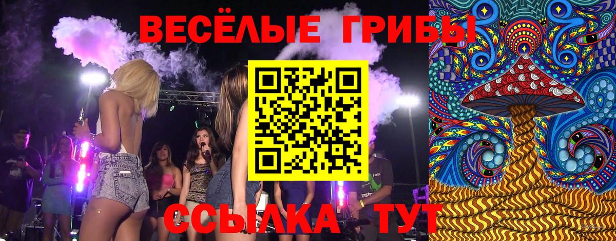 Галлюциногенные грибы Psilocybe Бузулук