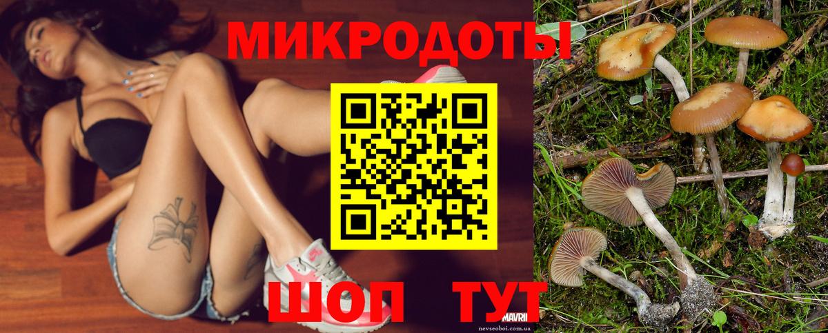 где найти   Псилоцибиновые грибы ЛСД  Вход с VPN  Бузулук 